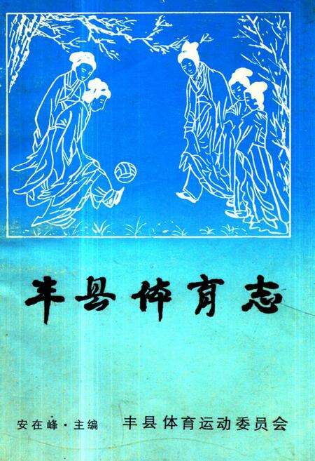 《《丰县体育志》》.pdf_江苏省志缩略图