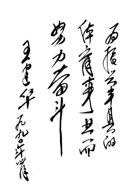 《《丰县体育志》》.pdf_江苏省志预览图2