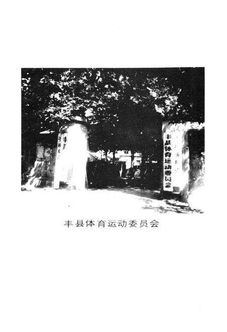 《《丰县体育志》》.pdf_江苏省志预览图3