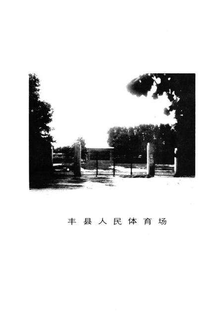 《《丰县体育志》》.pdf_江苏省志预览图4