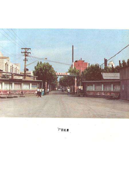 《徐州灯泡厂志(1960~1985)》.pdf_江苏省志预览图2