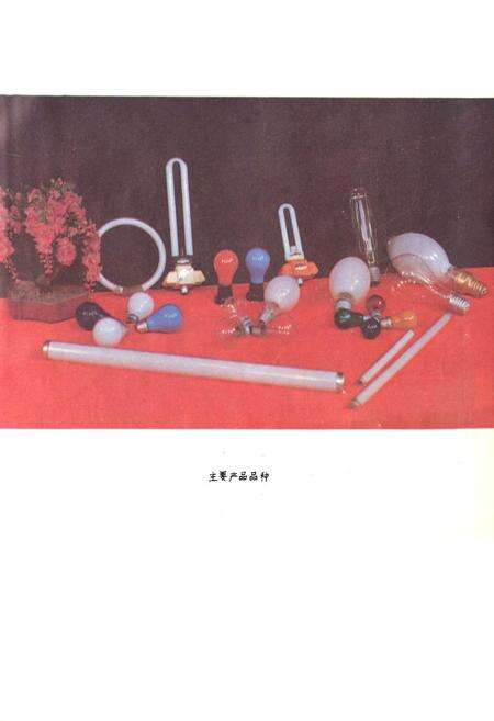 《徐州灯泡厂志(1960~1985)》.pdf_江苏省志预览图4