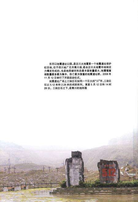 《《杭州市支援四川抗震救灾和青川灾后修复重建志》》.pdf_江苏省志预览图4
