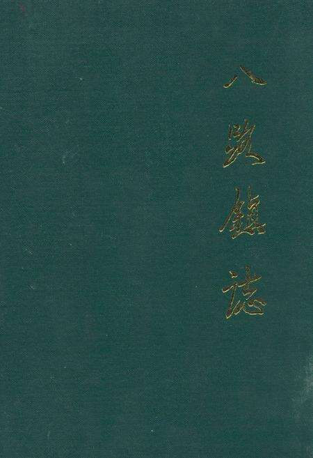《《八路镇志》》.pdf_江苏省志缩略图