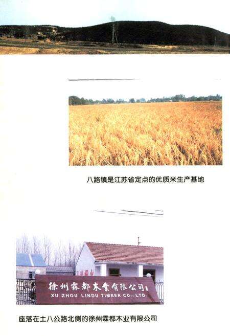 《《八路镇志》》.pdf_江苏省志预览图5