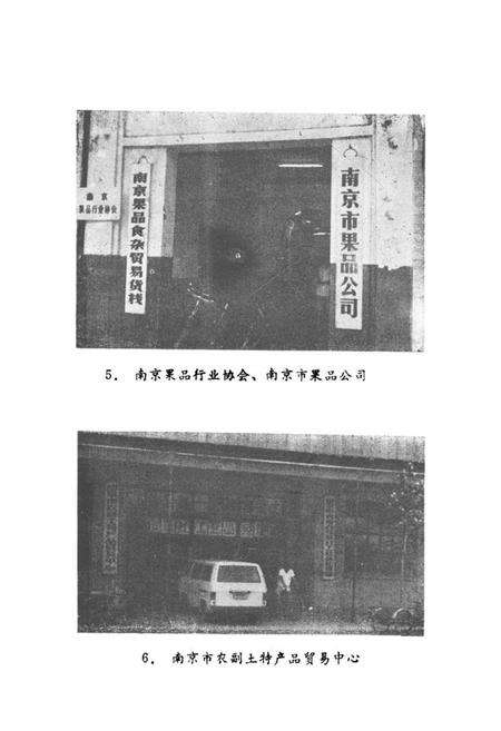 《南京果品行业志》.pdf_江苏省志预览图5
