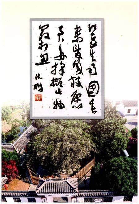 《顾山镇志》.pdf_江苏省志预览图3