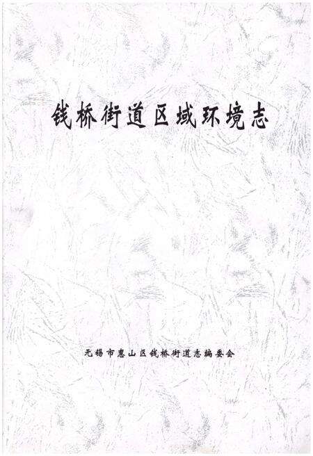 《钱桥街道区域环境志》.pdf_江苏省志缩略图
