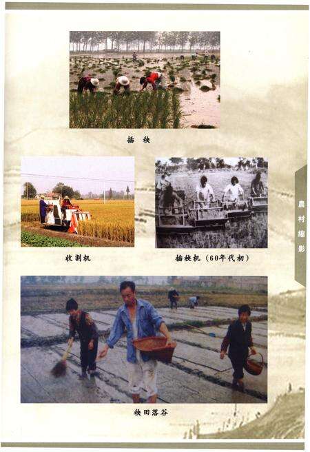 《《硕放志-村(居)史略》》.pdf_江苏省志预览图4