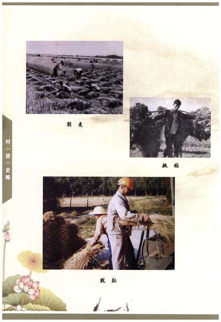 《《硕放志-村(居)史略》》.pdf_江苏省志预览图5