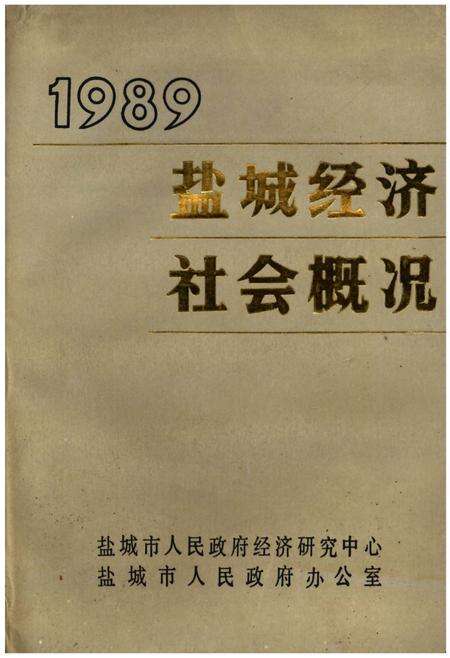 《盐城经济社会概况1989》.pdf_江苏省志缩略图