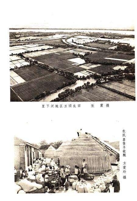 《江苏经济和社会发展概况1984》.pdf_江苏省志预览图3