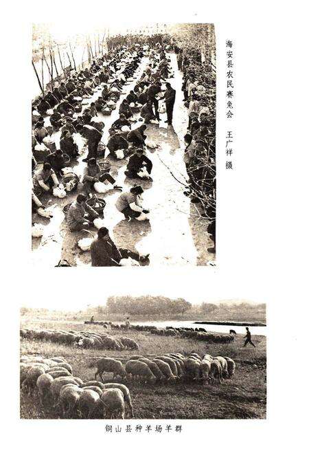 《江苏经济和社会发展概况1984》.pdf_江苏省志预览图4