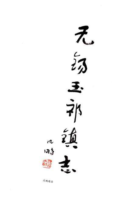 《玉祁镇志》.pdf_江苏省志预览图3