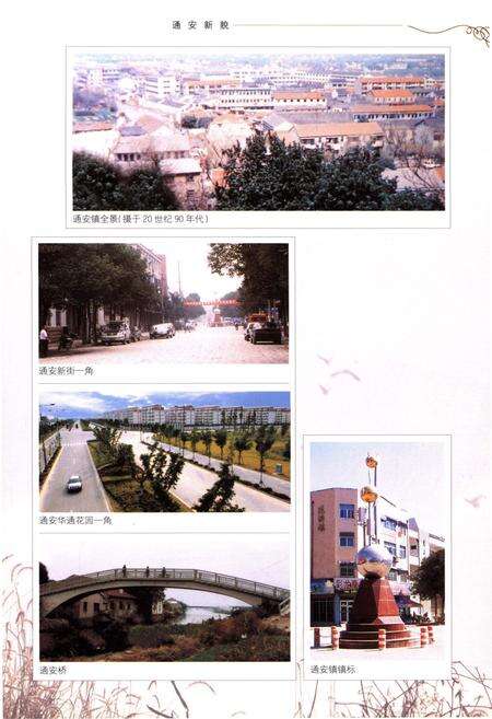 《苏州地方志 通安镇志》.pdf_江苏省志预览图5