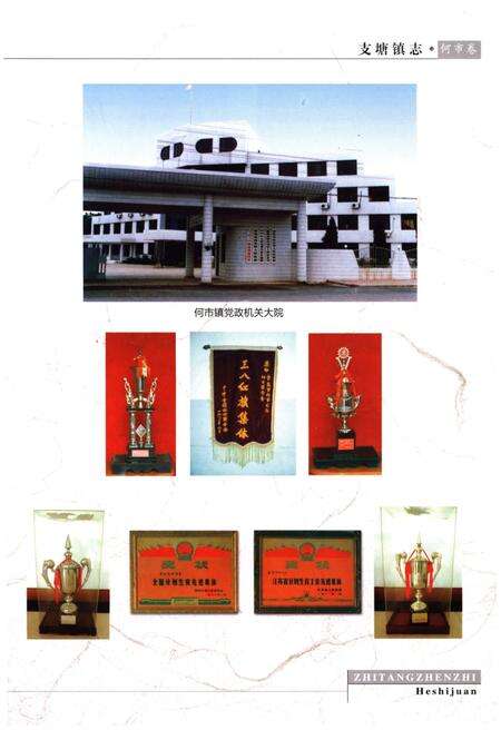 《支塘镇志·何市卷》.pdf_江苏省志预览图3