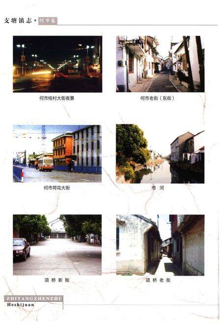 《支塘镇志·何市卷》.pdf_江苏省志预览图4