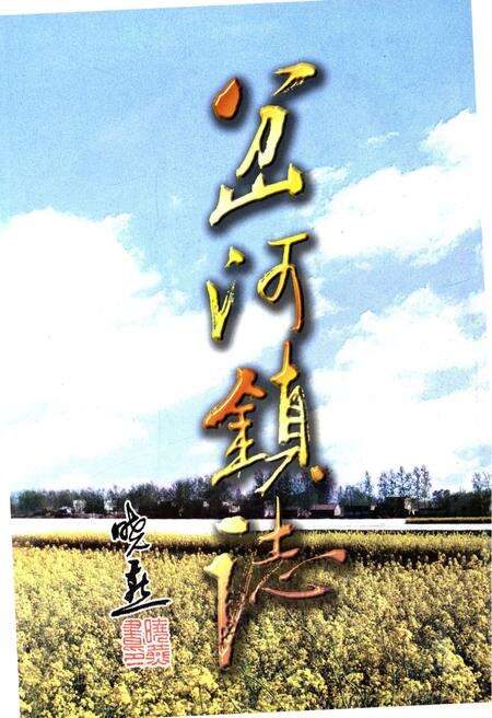 《岔河镇志》.pdf_江苏省志预览图1