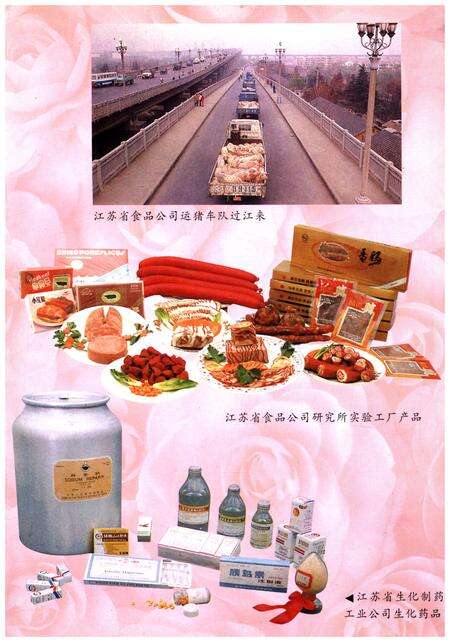 《江苏省肉禽蛋商业志》.pdf_江苏省志预览图4