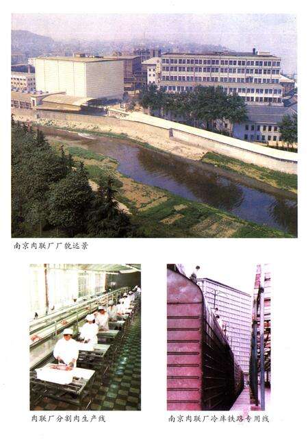 《江苏省肉禽蛋商业志》.pdf_江苏省志预览图5