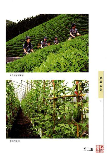 《江宁区志 第二册》.pdf_江苏省志预览图2