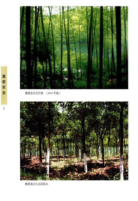 《江宁区志 第二册》.pdf_江苏省志预览图3