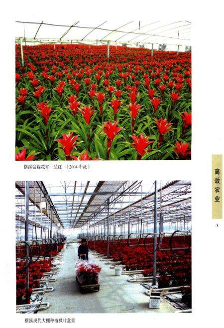 《江宁区志 第二册》.pdf_江苏省志预览图4