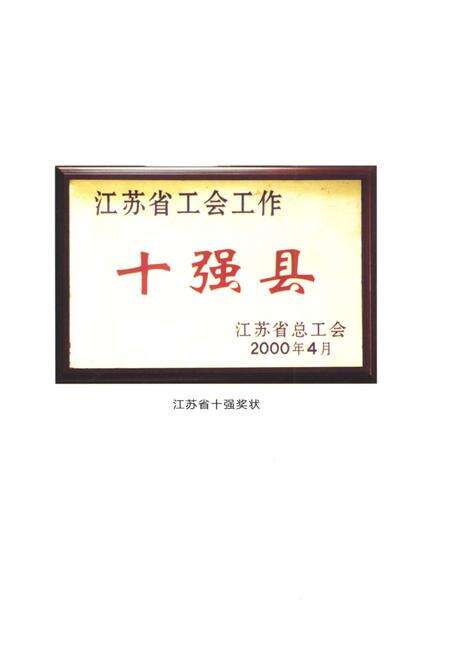 《靖江市工会志 1990-2009》.pdf_江苏省志预览图3