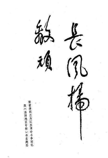 《淮阴地区革命斗争史料 上集》.pdf_江苏省志预览图4