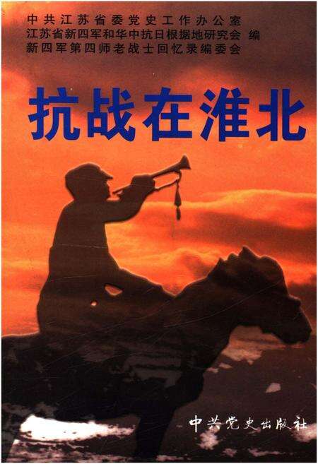 《抗战在淮北 第五辑》.pdf_江苏省志缩略图