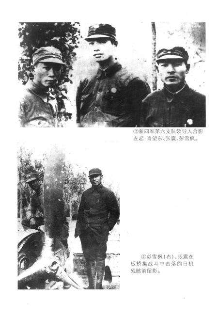 《抗战在淮北 第五辑》.pdf_江苏省志预览图5