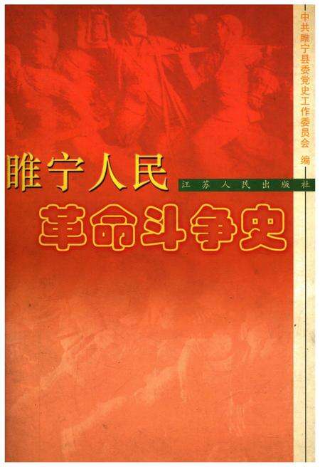 《睢宁人民革命斗争史》.pdf_江苏省志缩略图