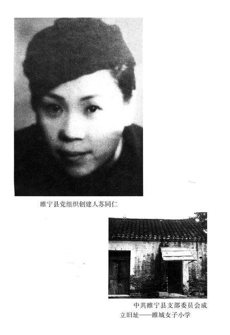 《睢宁人民革命斗争史》.pdf_江苏省志预览图4