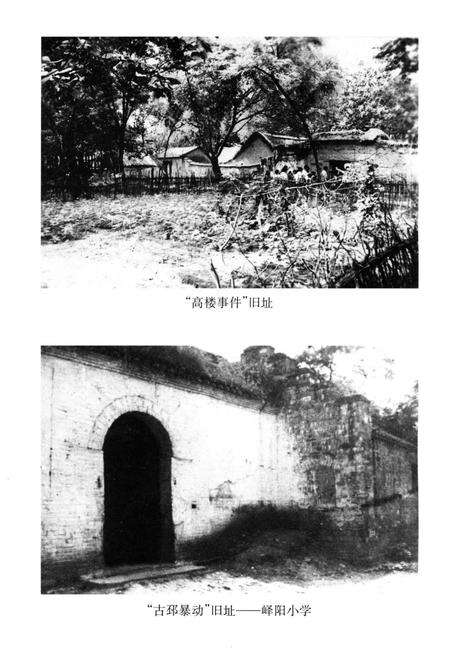 《睢宁人民革命斗争史》.pdf_江苏省志预览图5