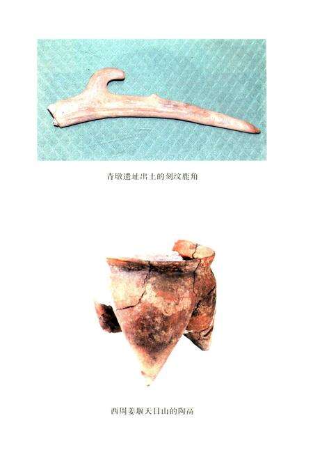 《泰州通史(泰州历史文化丛书)[上册]》.pdf_江苏省志预览图3