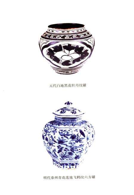 《泰州通史(泰州历史文化丛书)[中册]》.pdf_江苏省志预览图3