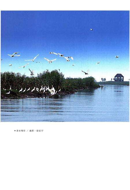 《洪泽湖通志》.pdf_江苏省志预览图3