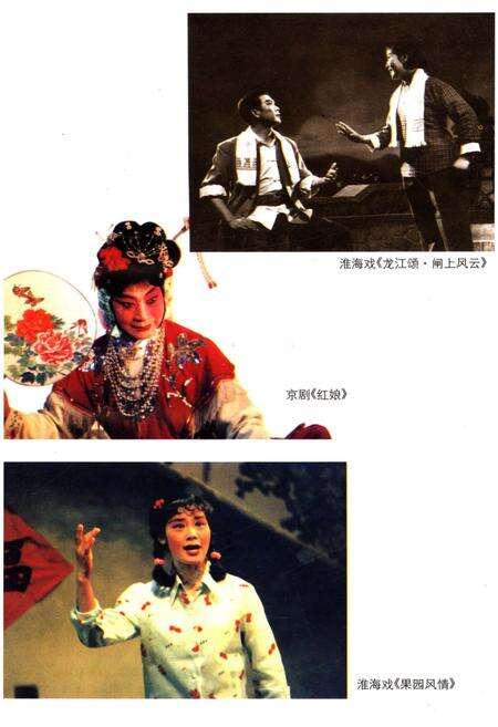 《江苏戏曲志 淮阴卷》.pdf_江苏省志预览图5