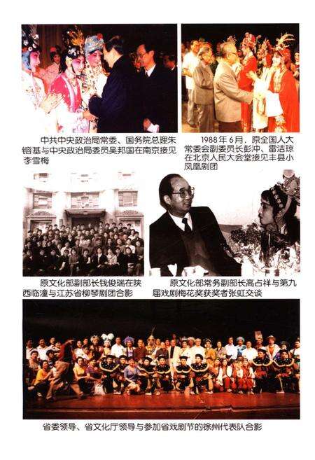 《江苏戏曲志 徐州卷》.pdf_江苏省志预览图4