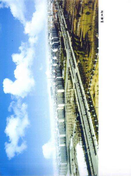 《泗阳文物》.pdf_江苏省志预览图3