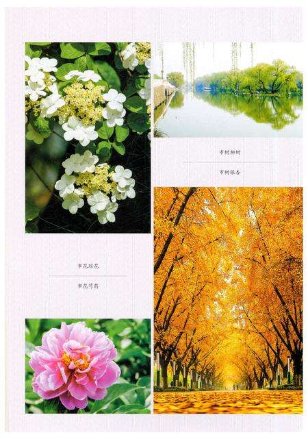 《扬州市志（第一卷）》.pdf_江苏省志预览图5