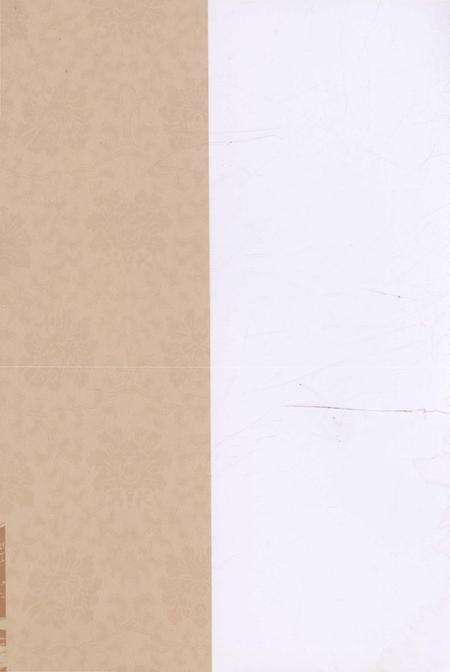 《沛县体育中学校志》.pdf_江苏省志预览图1