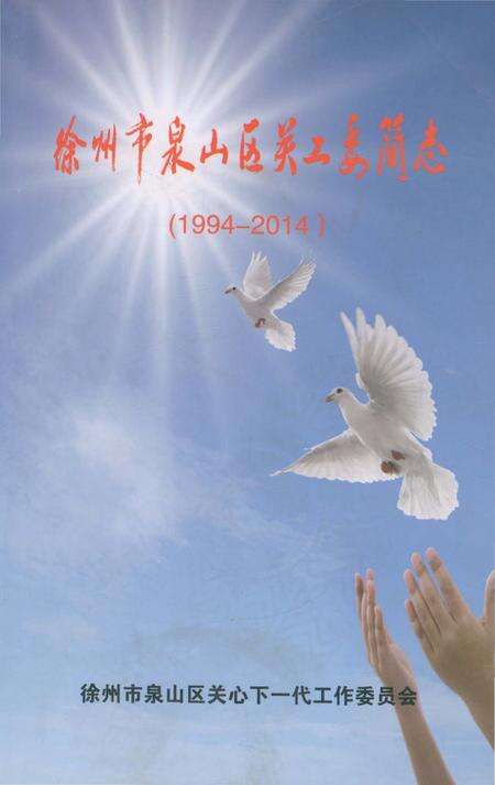 《徐州市泉山区关工委简志》.pdf_江苏省志缩略图