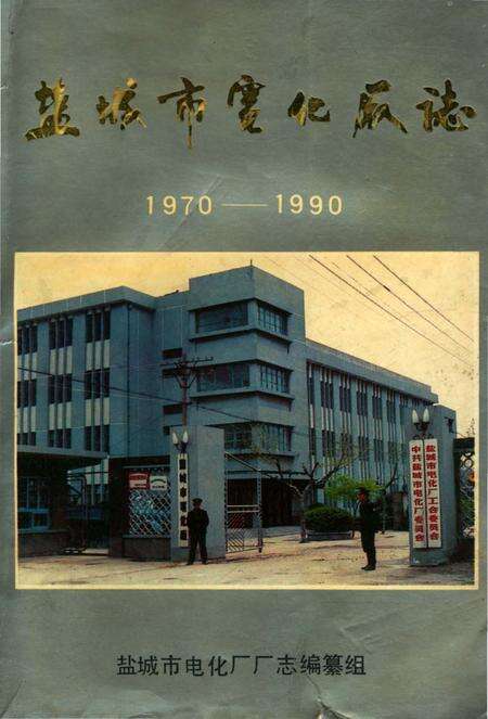 《盐城市电化厂志》.pdf_江苏省志缩略图