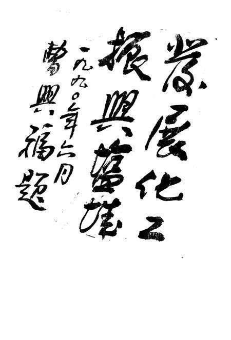 《盐城市电化厂志》.pdf_江苏省志预览图5