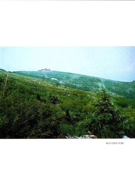 《睢宁县志（上册）》.pdf_江苏省志预览图2