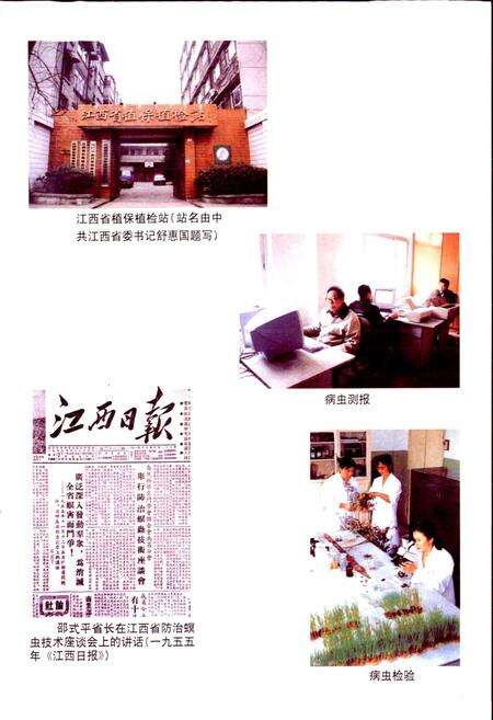 《江西植保志》.pdf_江西省志预览图4