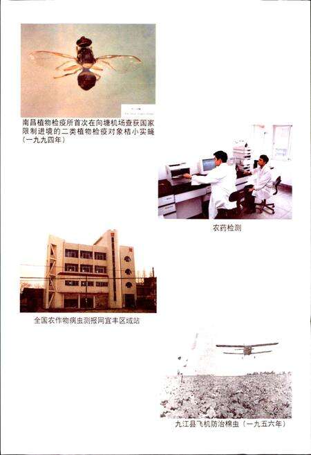 《江西植保志》.pdf_江西省志预览图5