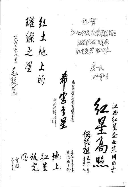 《红星企业集团志》.pdf_江西省志预览图3