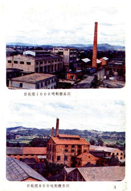 《江西红都制糖厂志》.pdf_江西省志预览图5